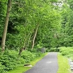 Upper Darby officials halt Mozino Forest development after community pushback