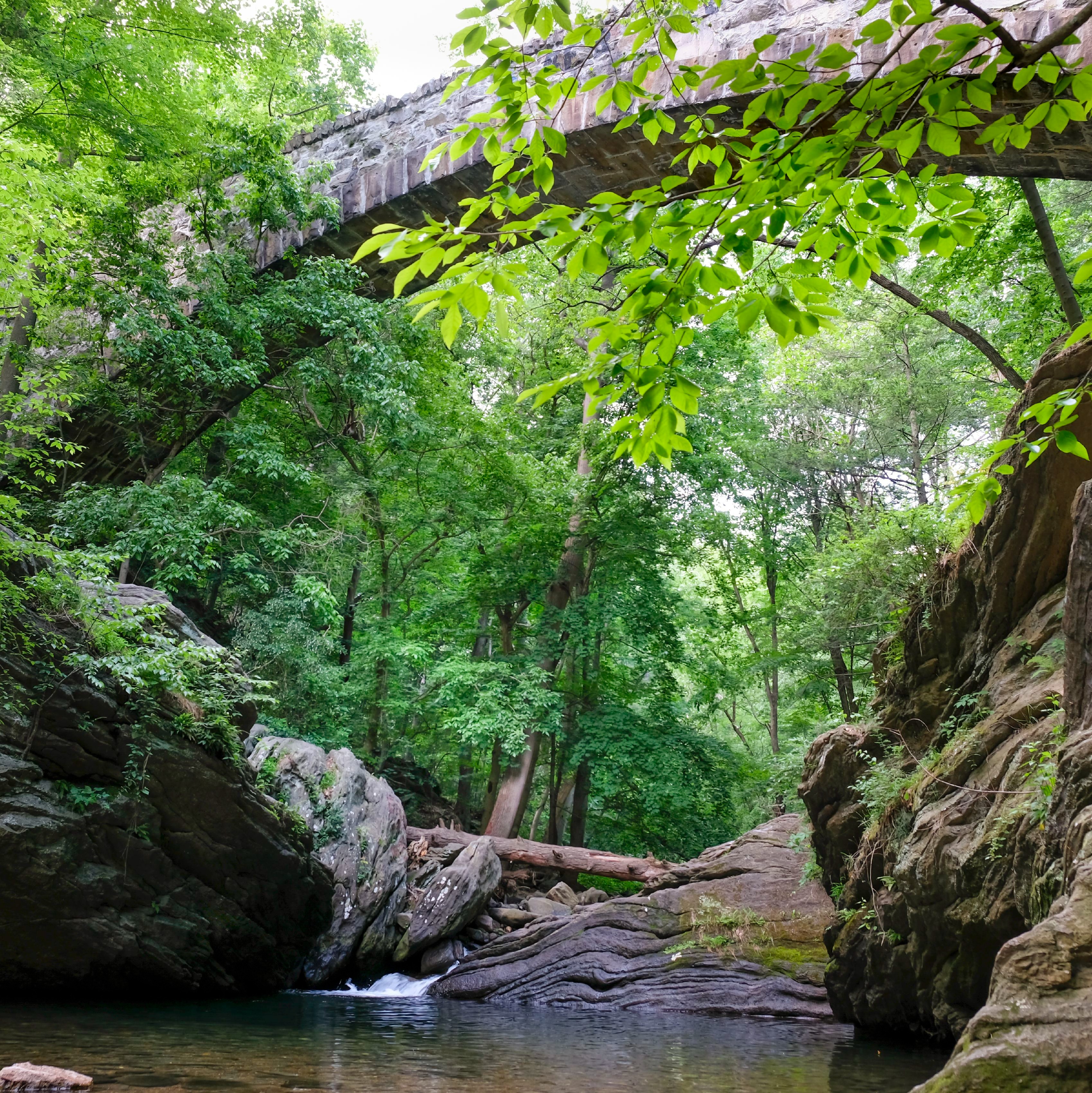 Philly police, Parks and Rec Department to crack down on illegal parties at Devil’s Pool