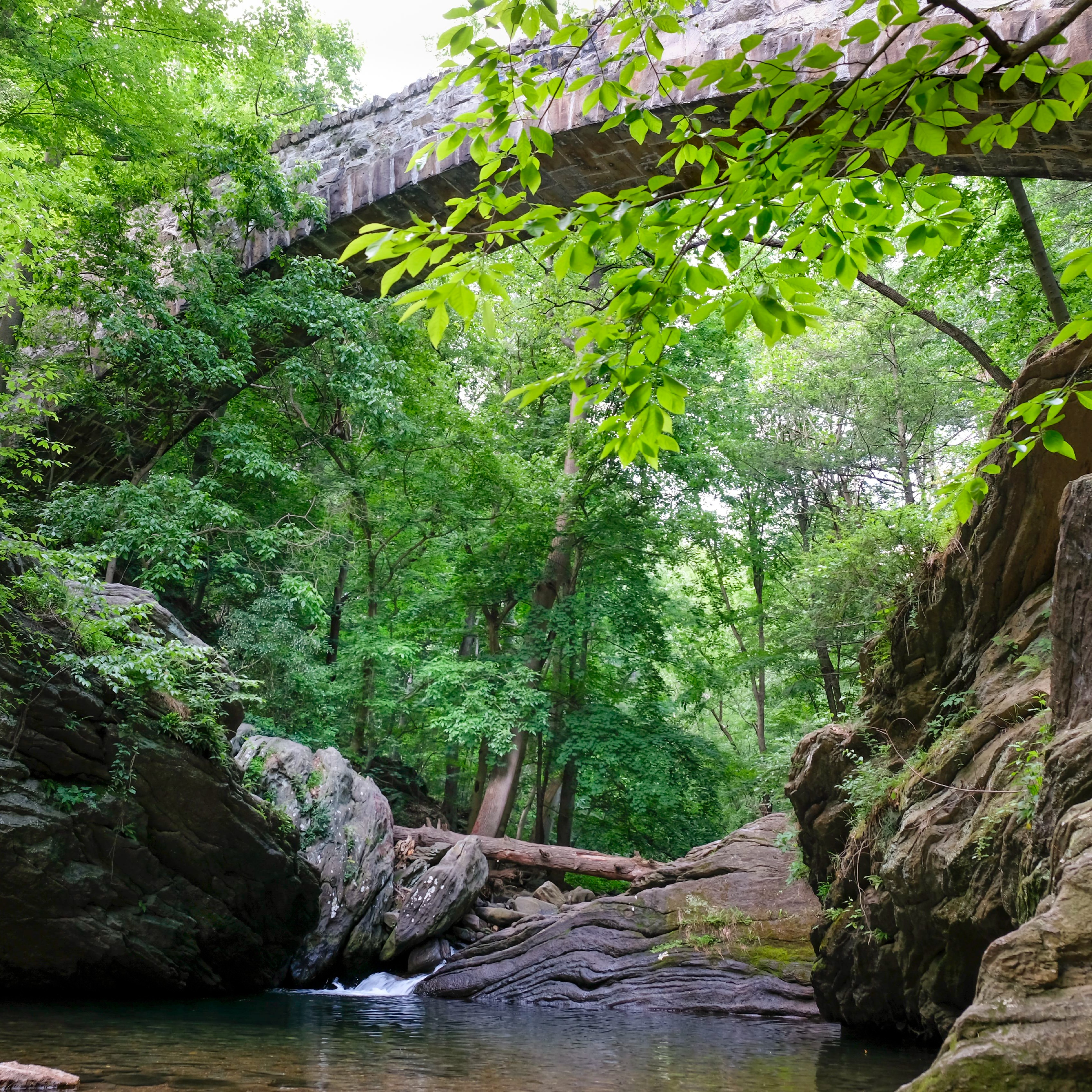Philly parks officials say increased patrols and enforcement at Devil’s Pool worked, but the ‘battle’s not over yet’