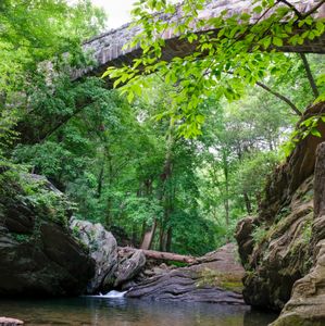 Philly parks officials say increased patrols and enforcement at Devil’s Pool worked, but the ‘battle’s not over yet’