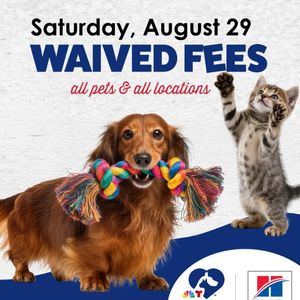 Brandywine Valley SPCA joins 12th annual Clear the Shelters event