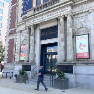 Museum-goers bid final farewells to Academy of Natural Sciences before it closes to the public