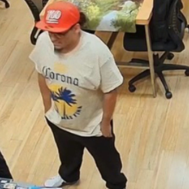 2 wanted in connection with theft of high-value trading card from Berks County store