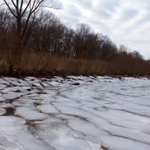 Local environmental scientists find microplastics in dozens of Delaware River samples, call for regulation