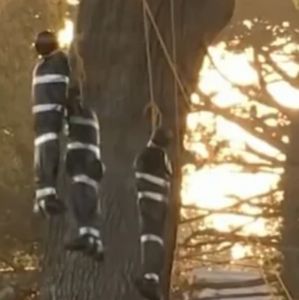 NAACP calls on Bucks County resident to take down controversial Halloween display