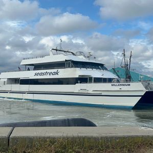 There could soon be a ferry route that takes you from NYC to Atlantic City