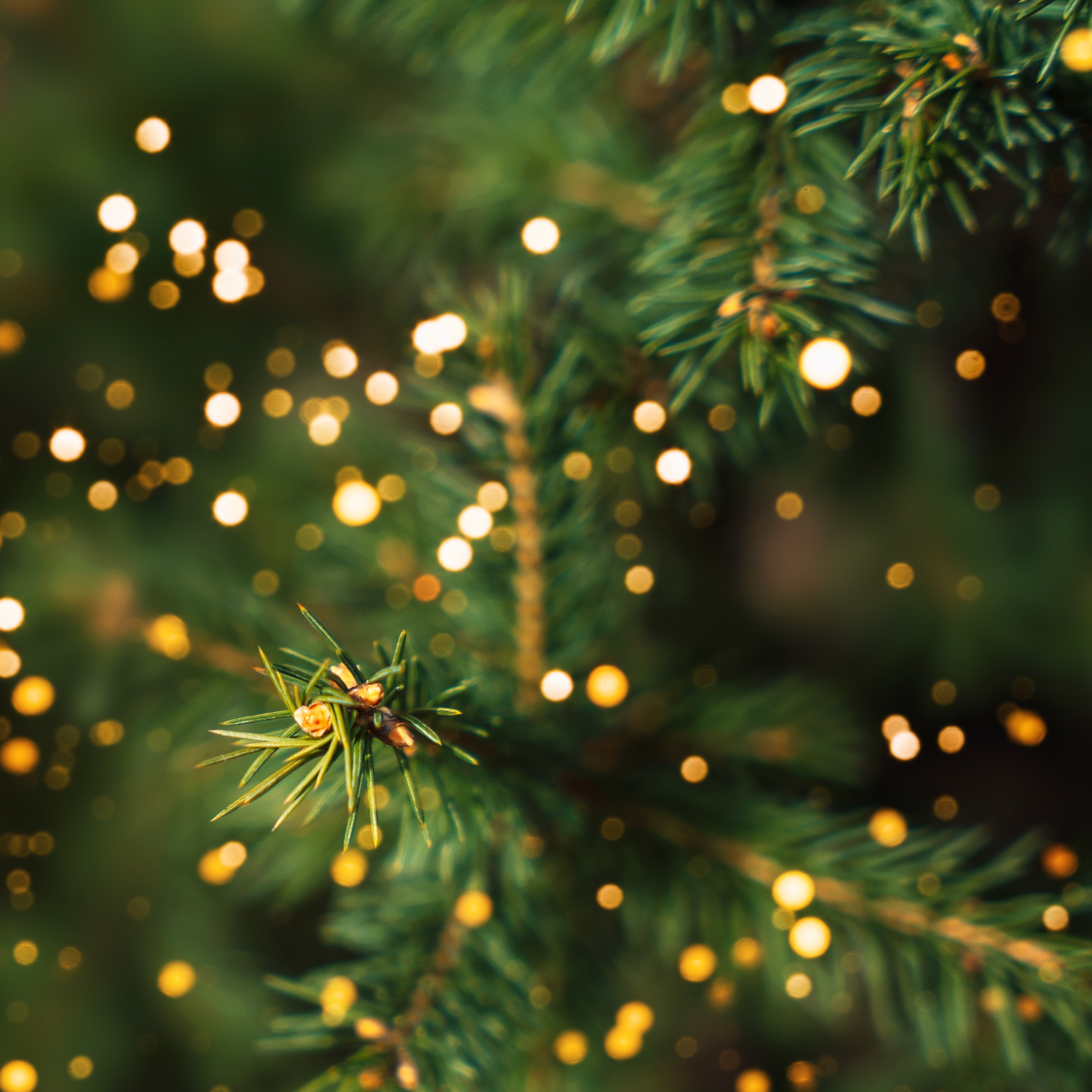 Will Christmas come late to one New Jersey town? Netflix hopes so