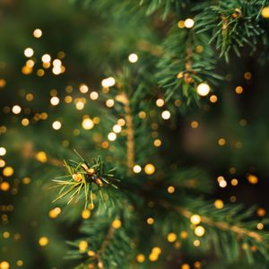 Will Christmas come late to one New Jersey town? Netflix hopes so