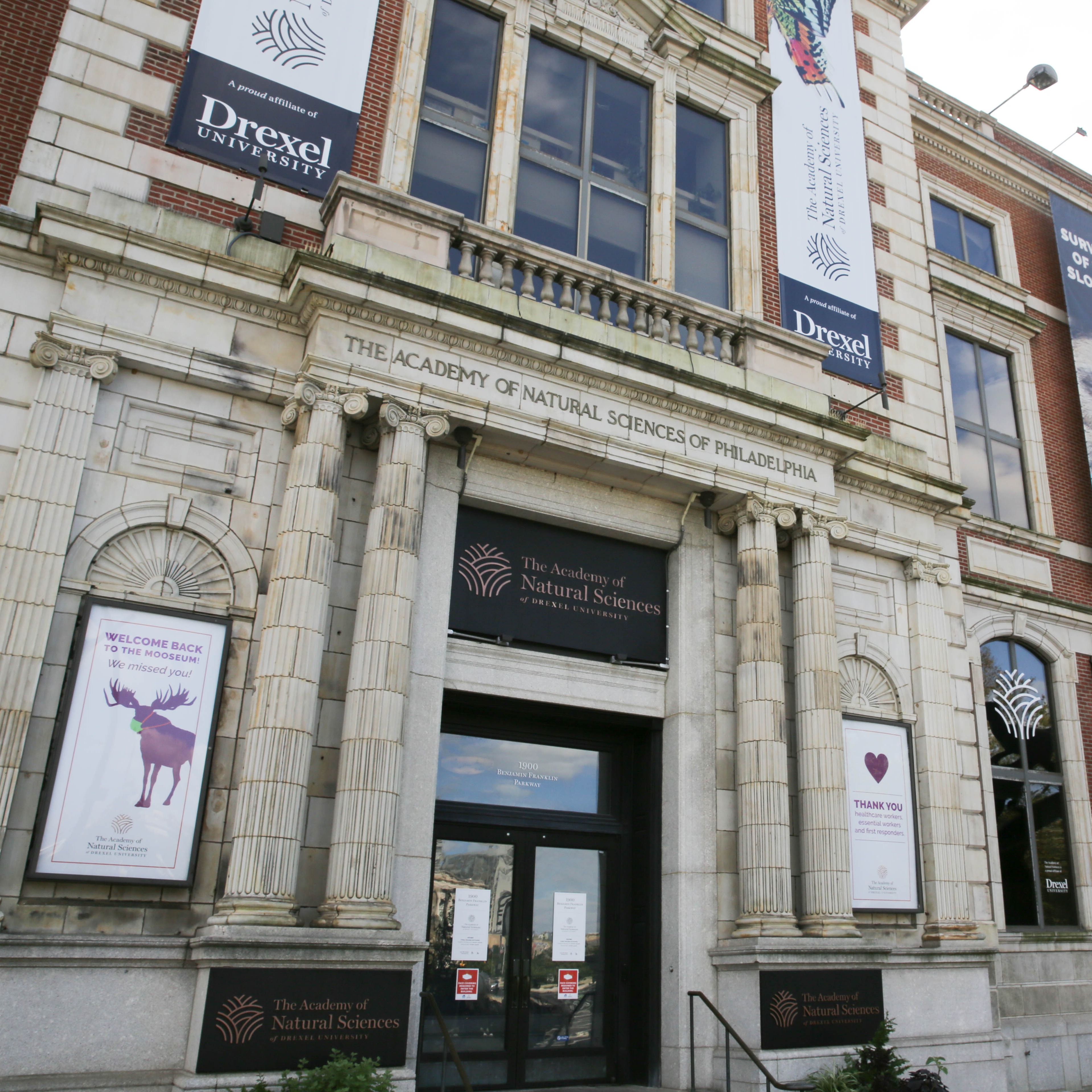 City Council committee issues subpoenas to testify about Academy of Natural Sciences closure