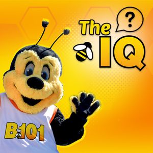 IQ | 3.12.26 | $101