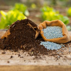 Iran's grip on Hormuz strangles energy markets and threatens global fertilizer flow