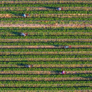 The first ever Farmworkers Day replacing Cesar Chavez Day