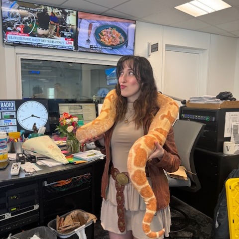 Snaking into the studio: some sss-seriously interesting reptile facts