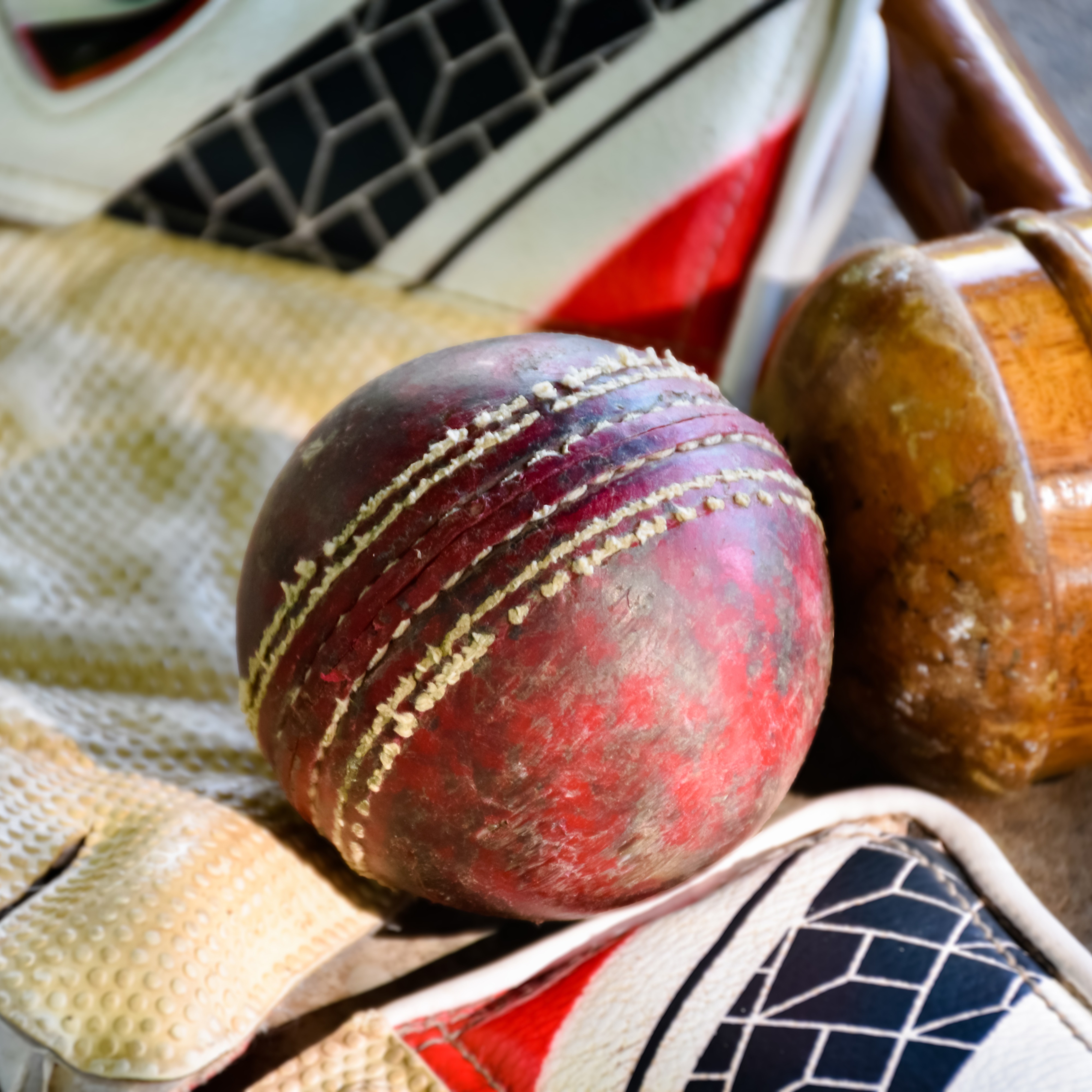 Cricket will return to The Bay with the SF Unicorns Major League team