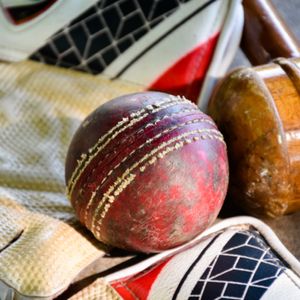Cricket will return to The Bay with the SF Unicorns Major League team