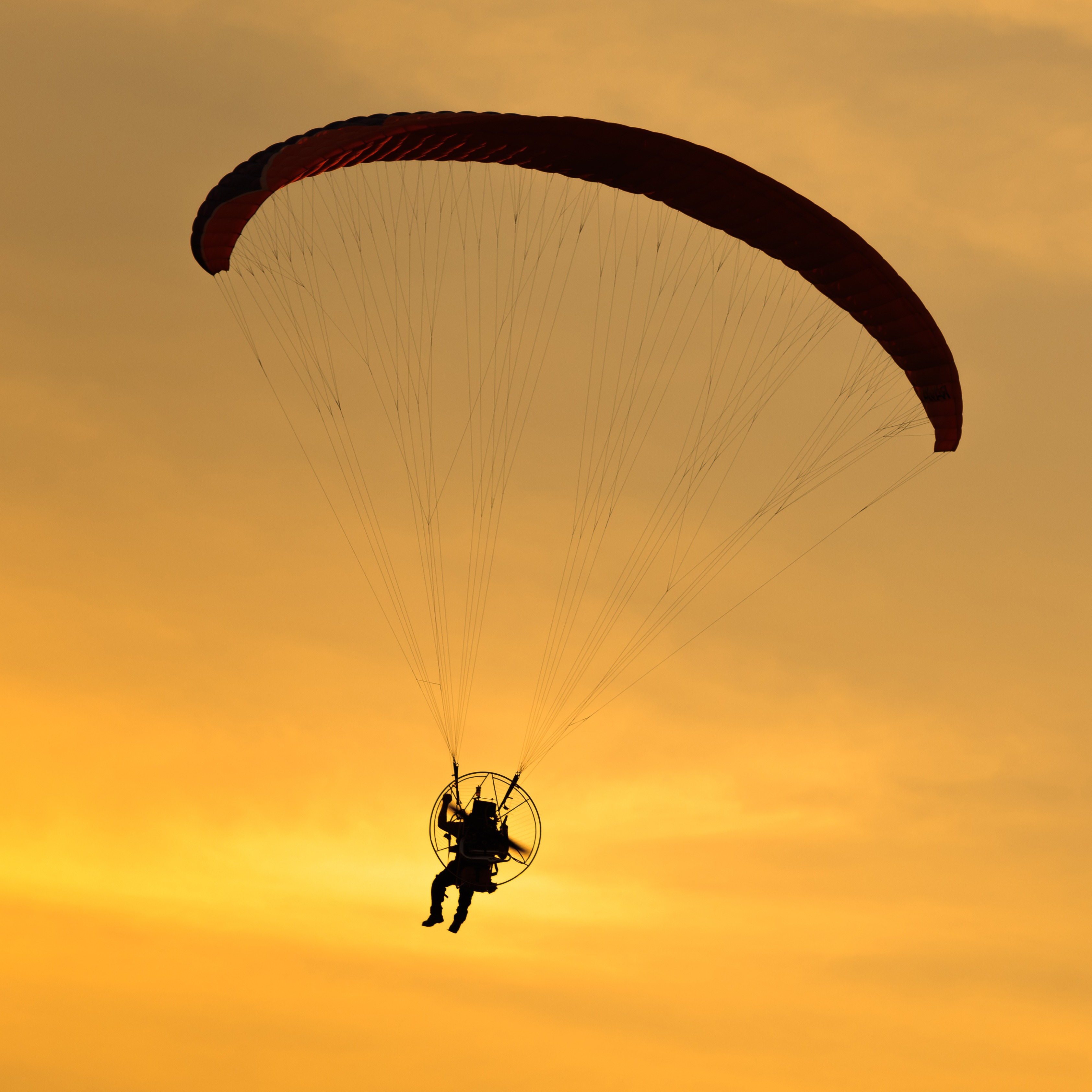 Skydiver crash landing at a Northern California Rodeo