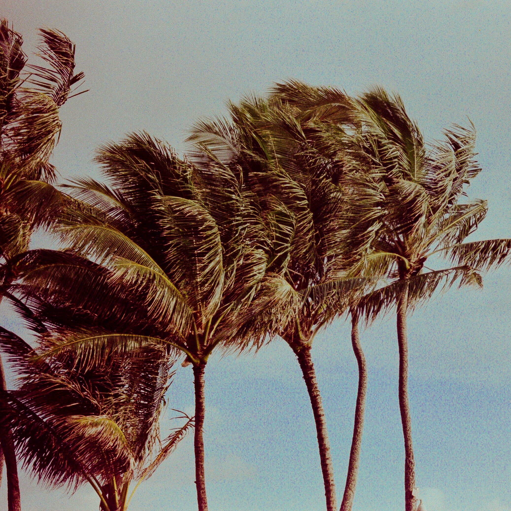 Weather forecasters keep a close eye on Tropical Storm Lala