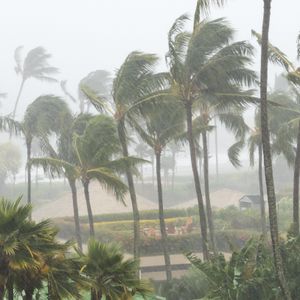 Hawaii residents brace for Hurricane Lala