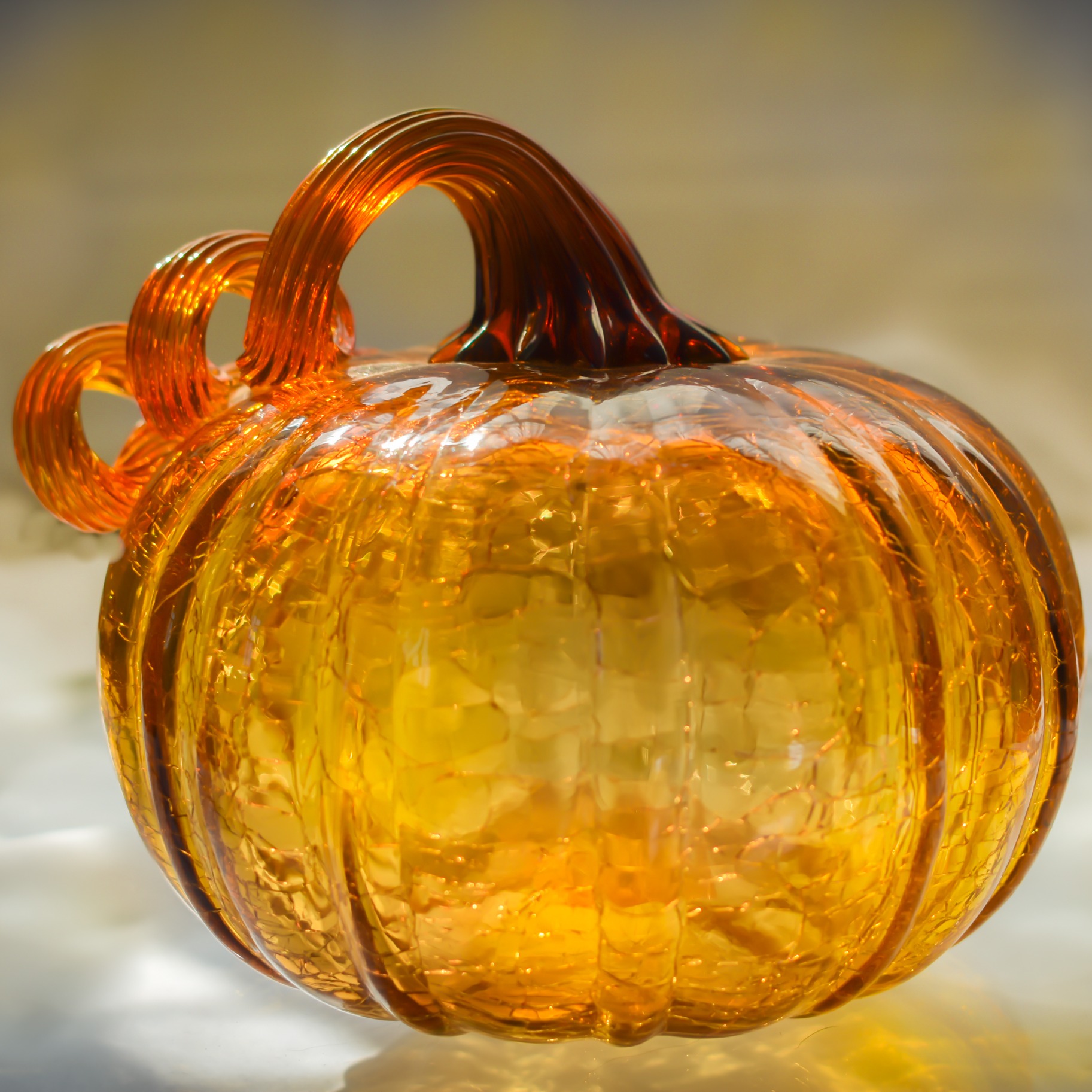 31st Great Glass Pumpkin Patch underway in Palo Alto