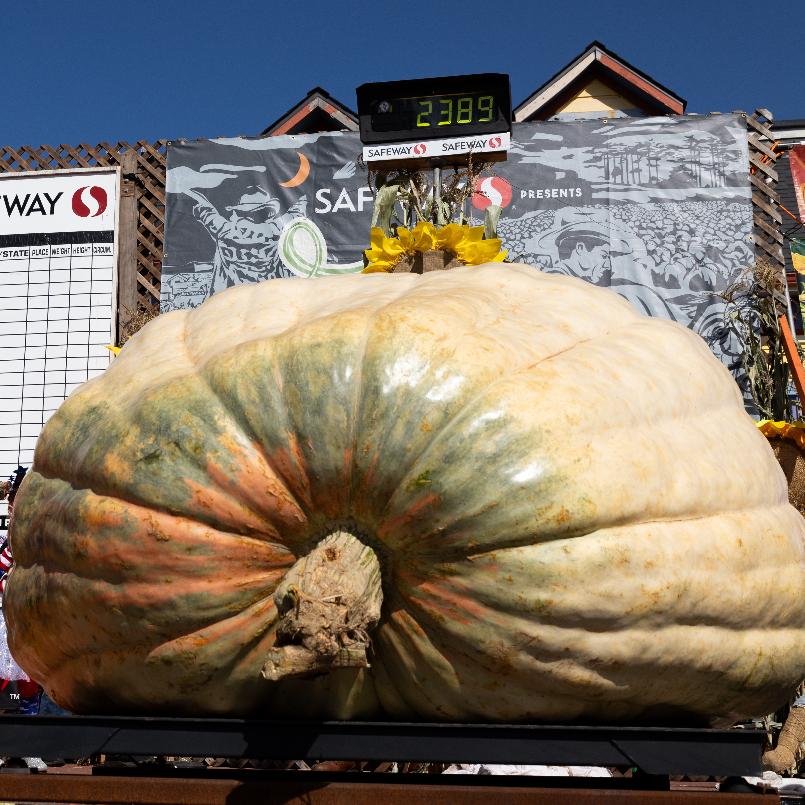 Half Moon Bay's pumpkin weigh-off crowns new world champion