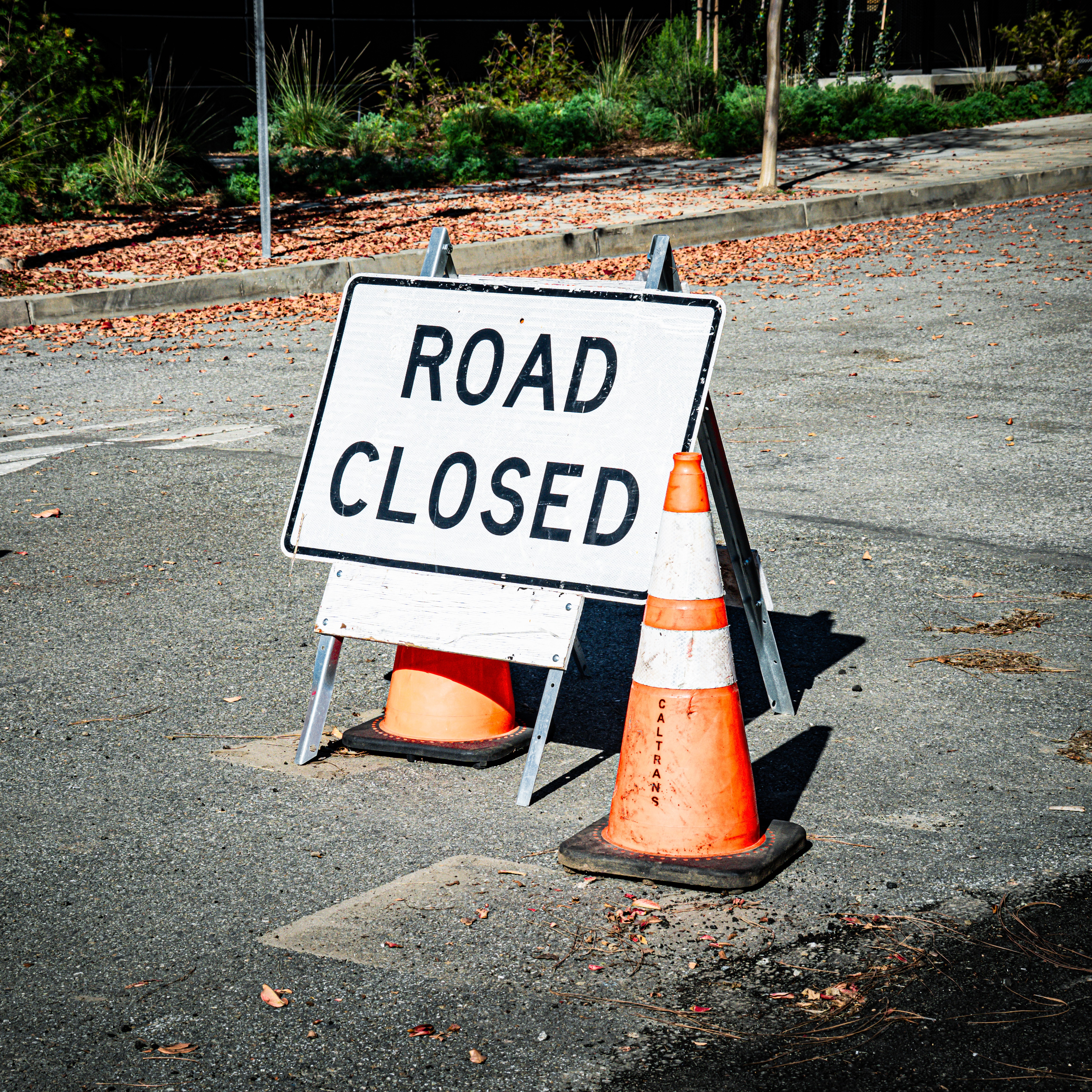 A buzzing Bay Area and Caltrans closures cause major traffic delays this weekend