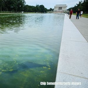 "As The Reflecting Pool Turns"