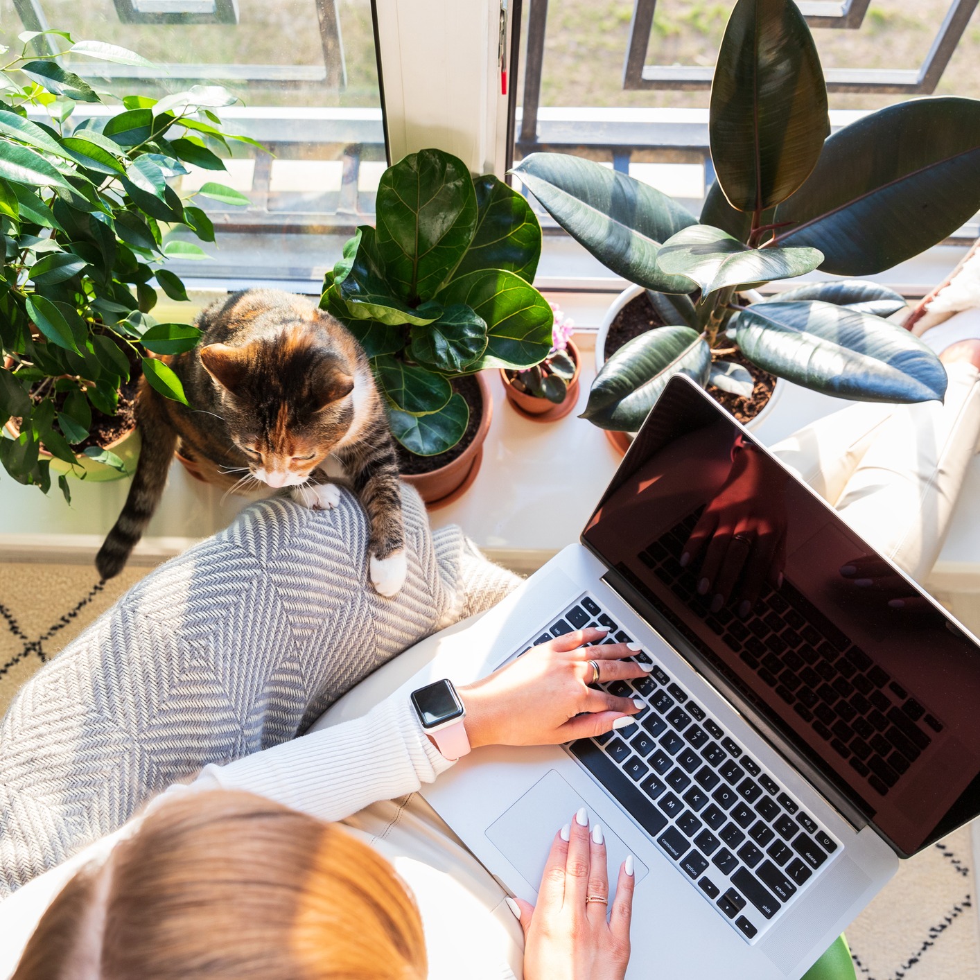 Is Working From Home Unhealthy? Sue Henry Has The Numbers