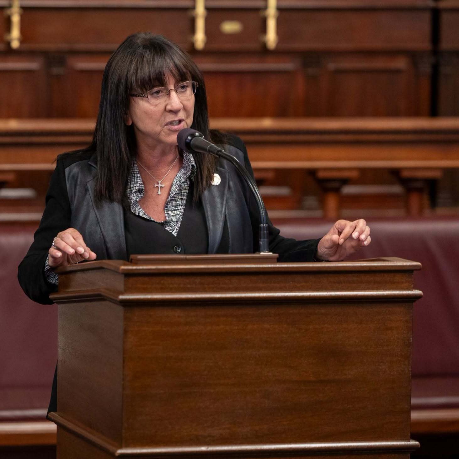 PA State Representative Brenda Pugh Talks Rain Tax With Sue