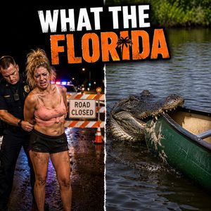 What The Florida: My Lady Virgina / Gator Attack