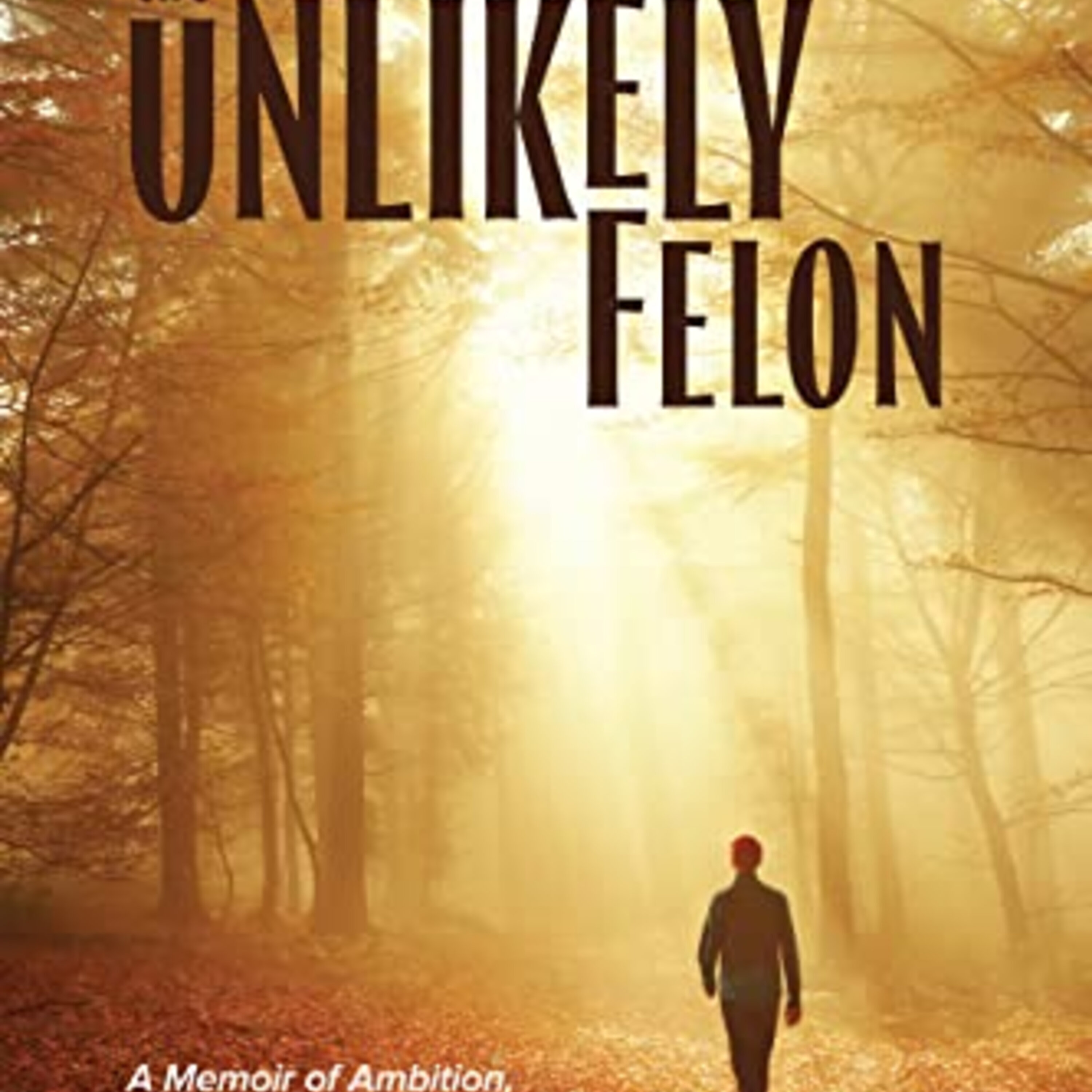 The Unlikely Felon: A Memoir of Ambition, Elder Care and Jail