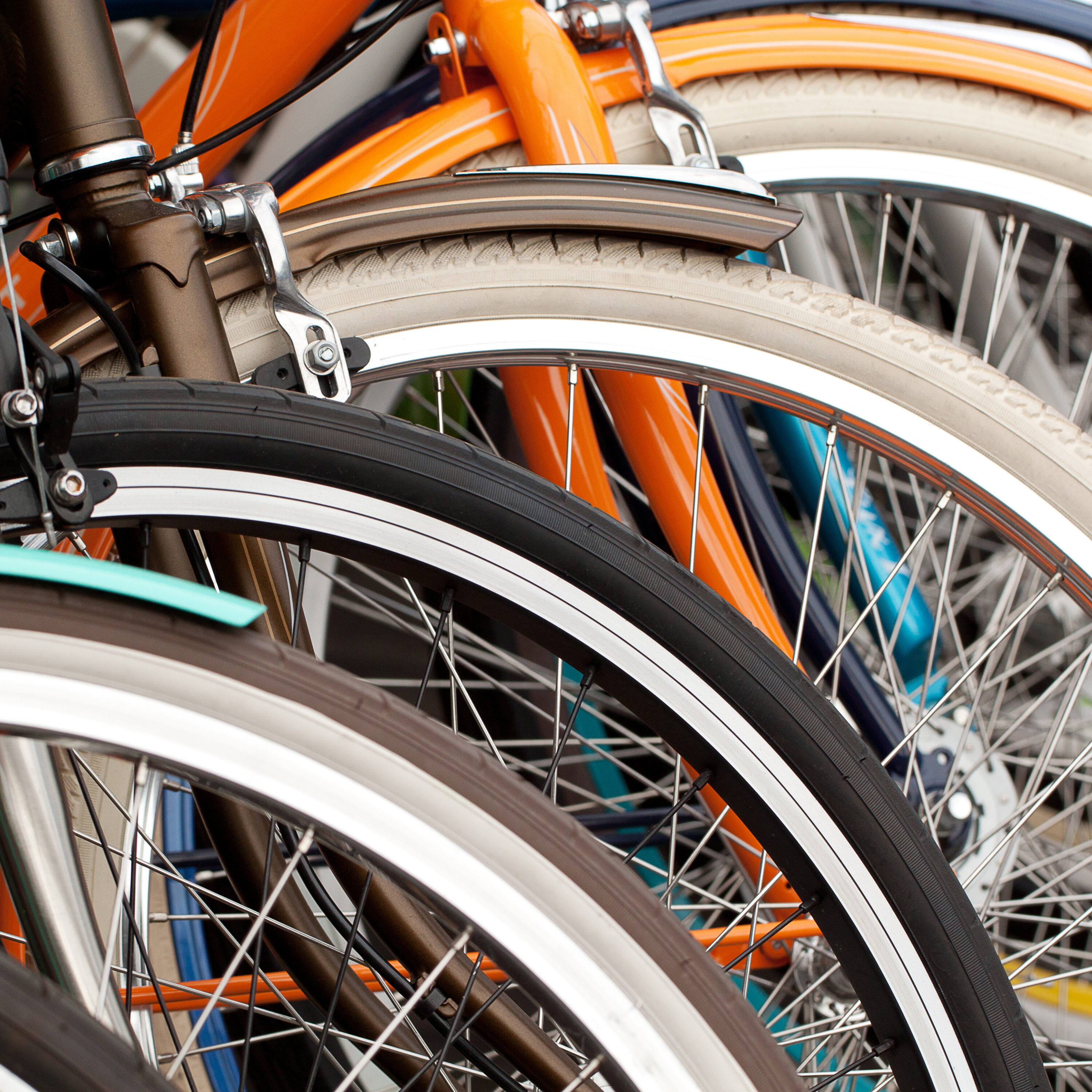 Go Forward Together Bike Ride 2023