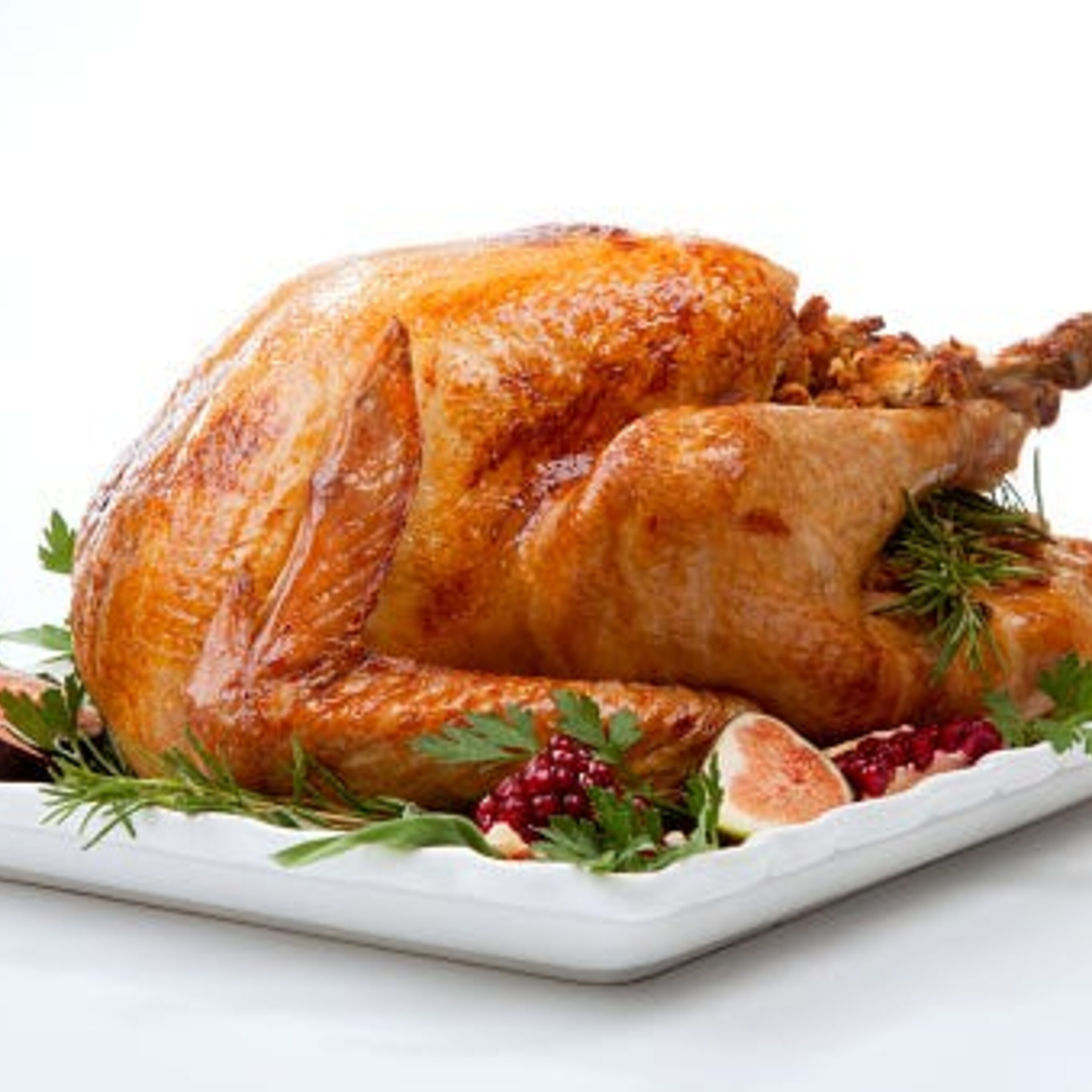 ButterBall Turkey Talk Line Bill.mp3
